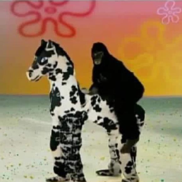 Meet your Posher, Logan - Picture 1 of 1